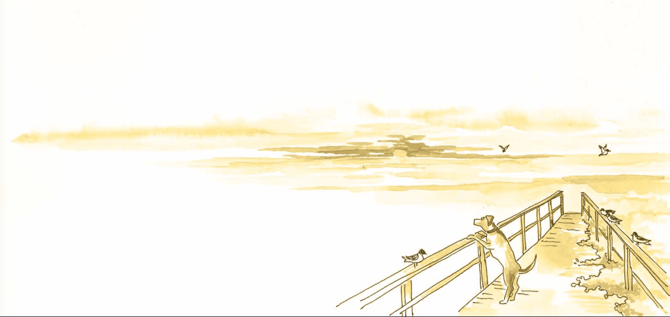 Resources - Jazzy Explores Texas